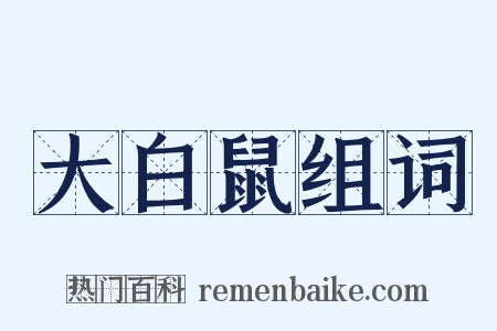 大白鼠组词是什么意思的图片